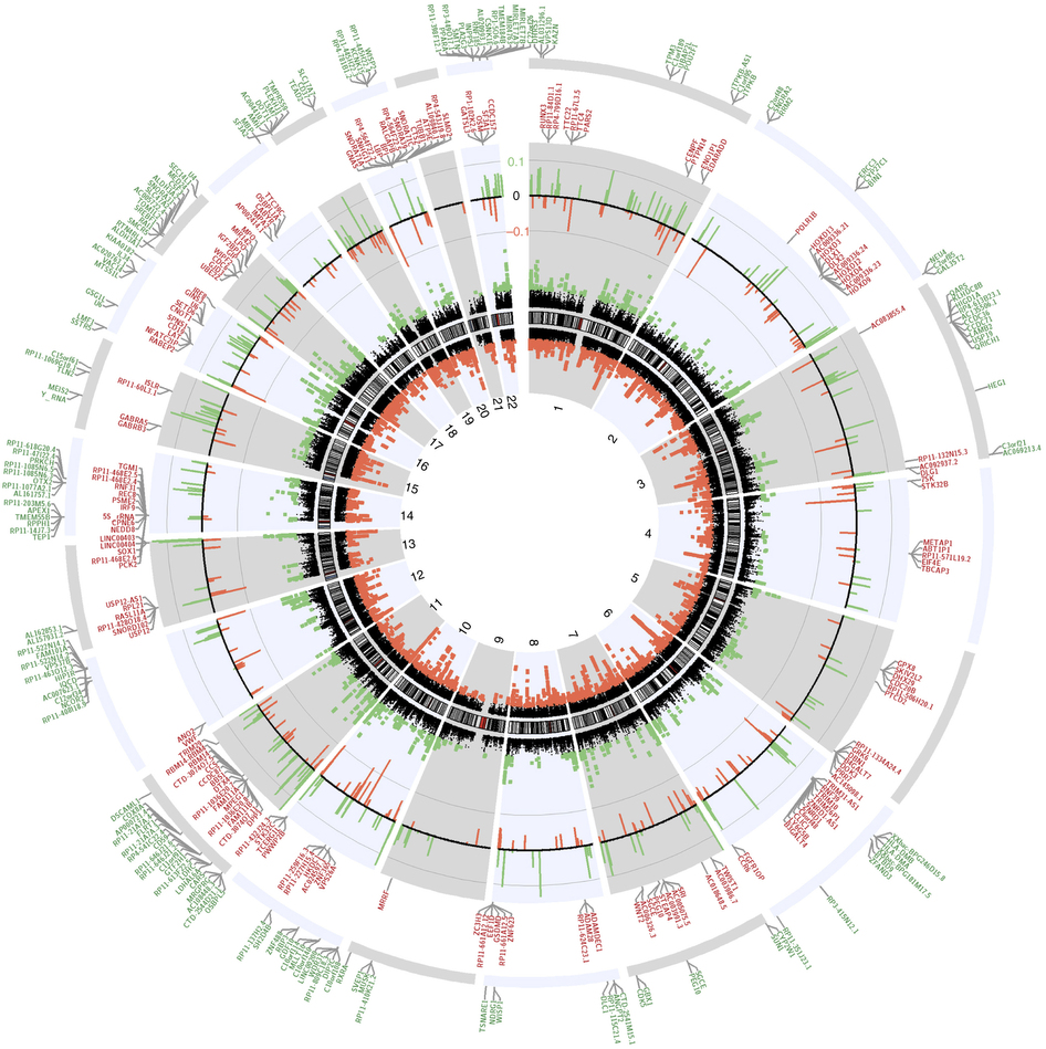 what-is-a-circular-plot-structure-powerpointban-web-fc2